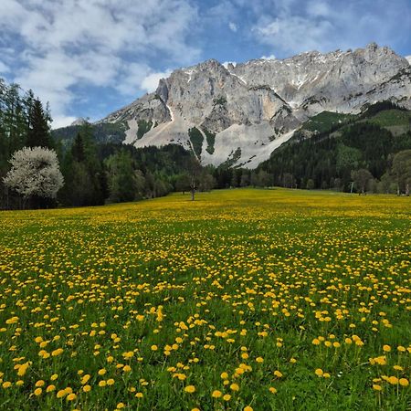 Family Appartment - Dachstein View Рамзау Экстерьер фото