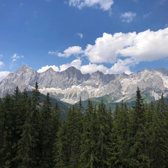 Family Appartment - Dachstein View Рамзау Экстерьер фото