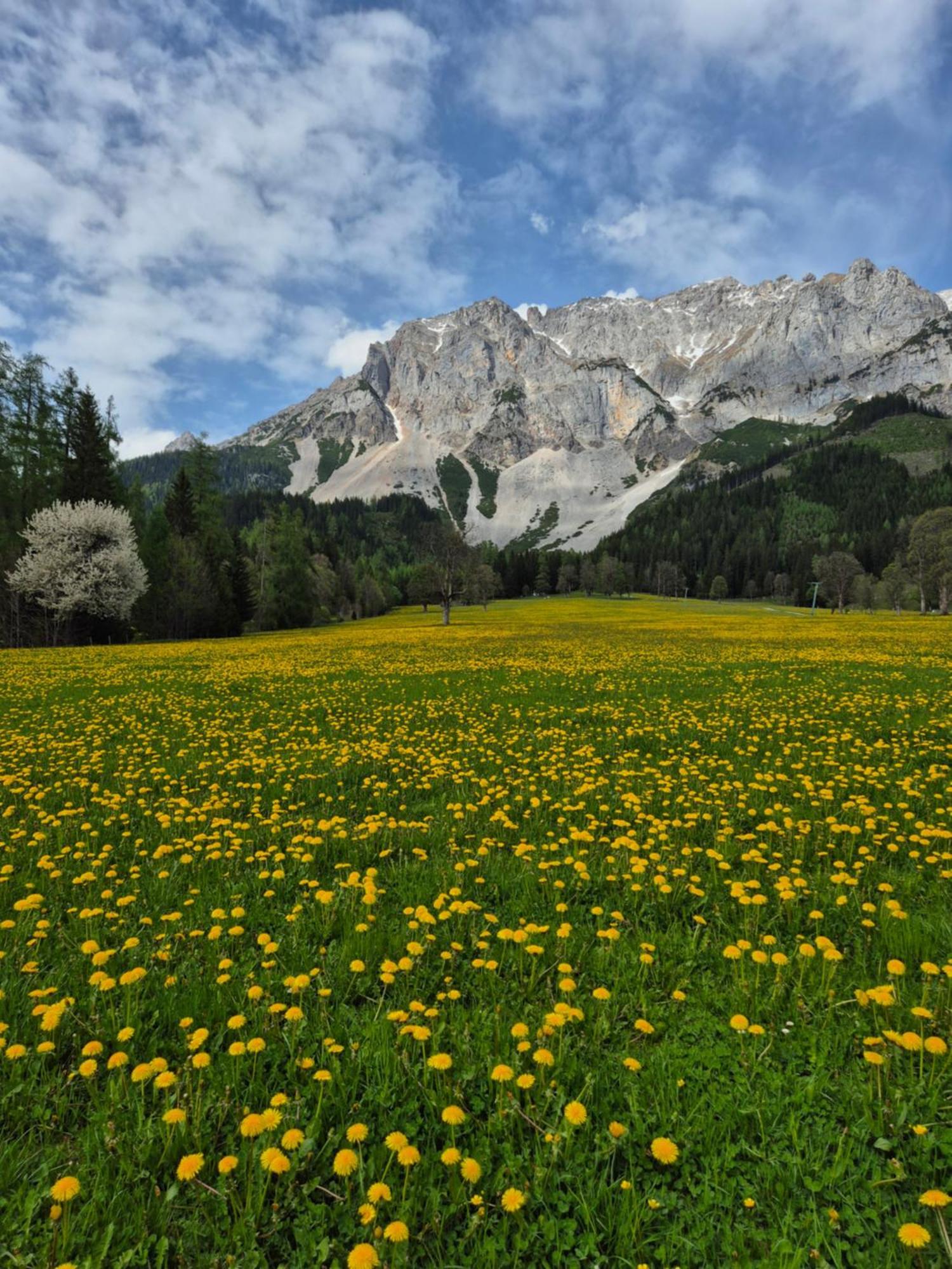 Family Appartment - Dachstein View Рамзау Экстерьер фото